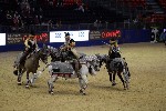 Quadrille - 00721